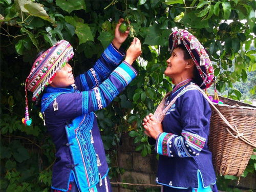 文藝家創作進村寨 鄉村振興與生態文明的藝術探索